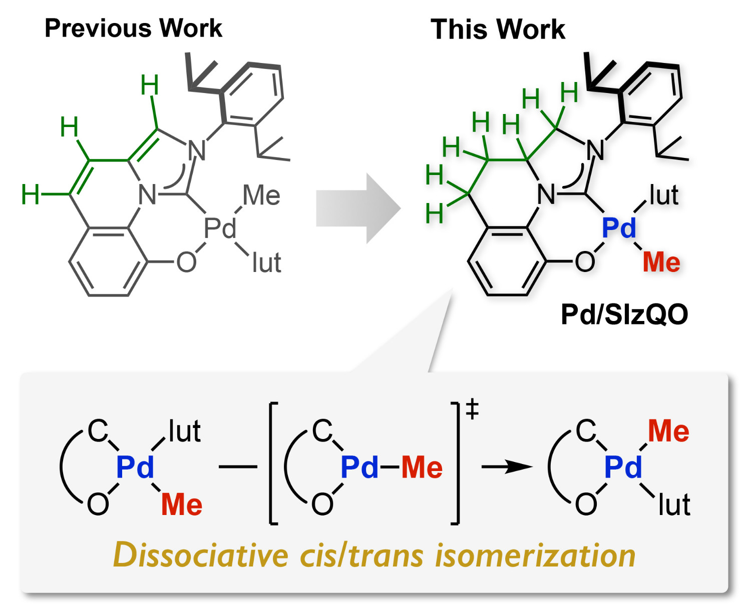 Synthesis And Reactivity Of Methylpalladium Complexes - 