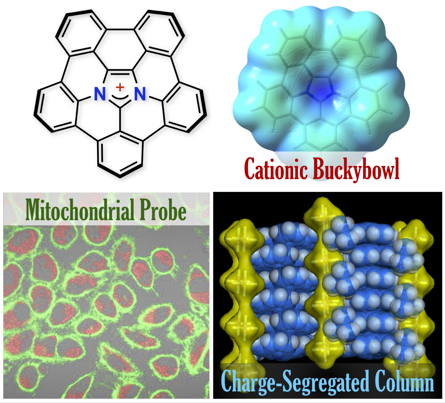 Diazapentabenzocorannulenium A Hydrophilic Biophilic Cationic Buckybowl Ito Research Group